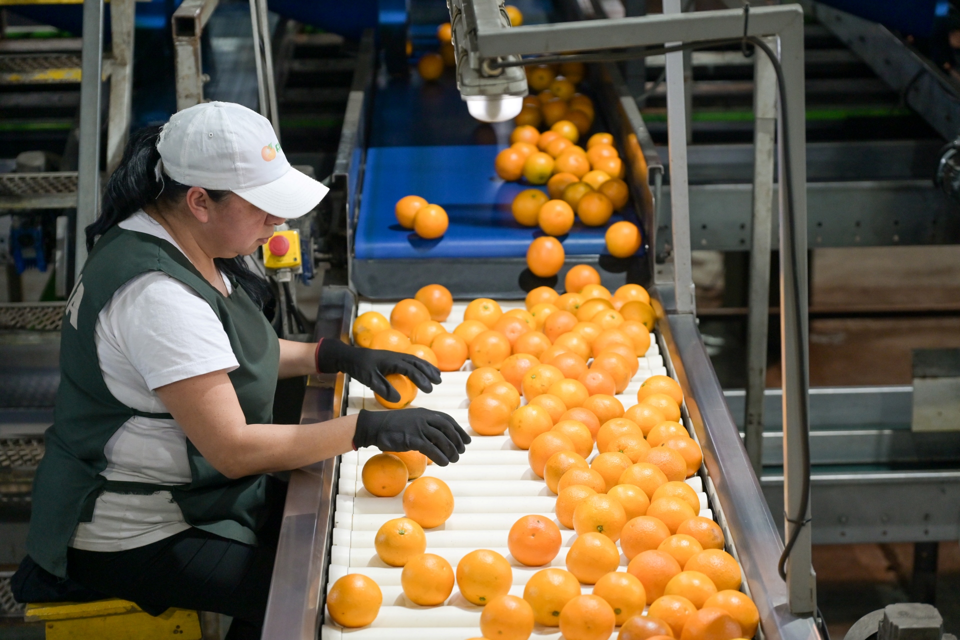 La provincia y la Fecier avanzan en una agenda de trabajo para el desarrollo del sector citrícola