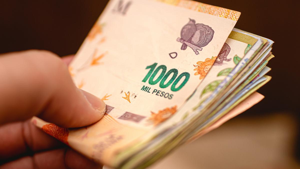 El Gobierno aumentó el salario mínimo, vital y móvil