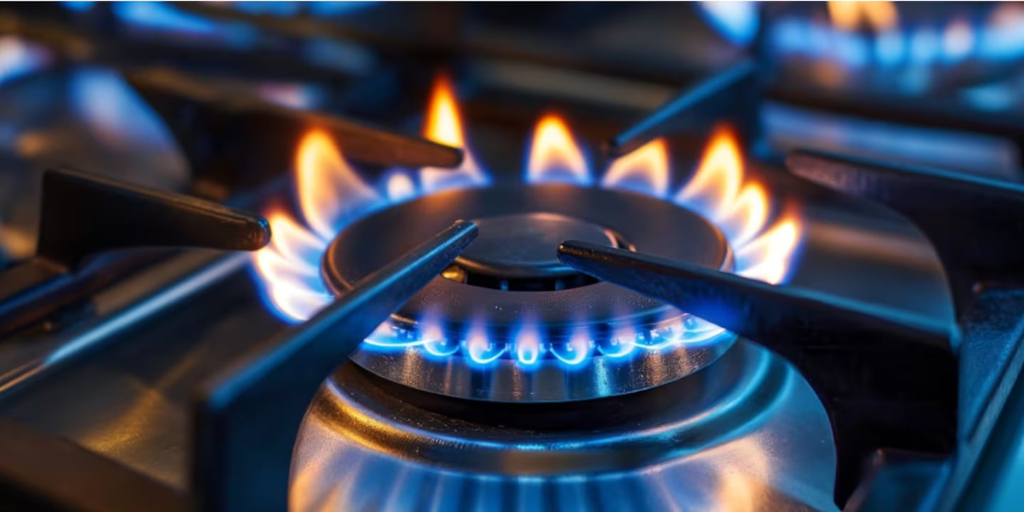 El Gobierno promulgó la nueva ley de Zona Fría: cuáles son los requisitos para conservar el subsidio al gas