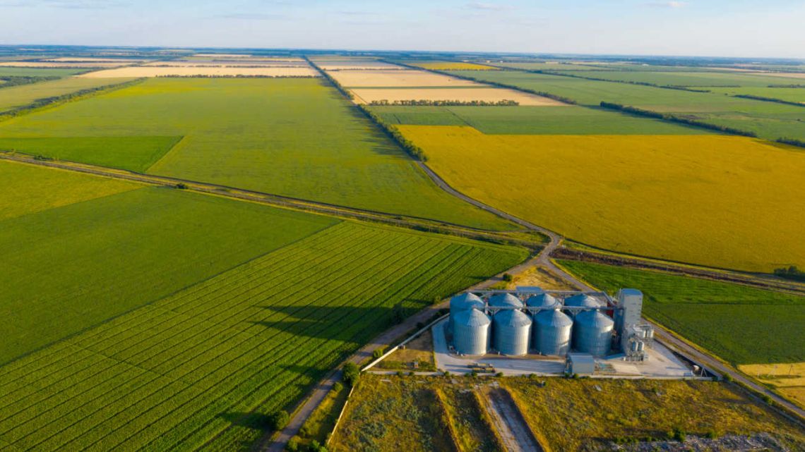 La Corte Suprema frena la venta libre de tierras a extranjeros